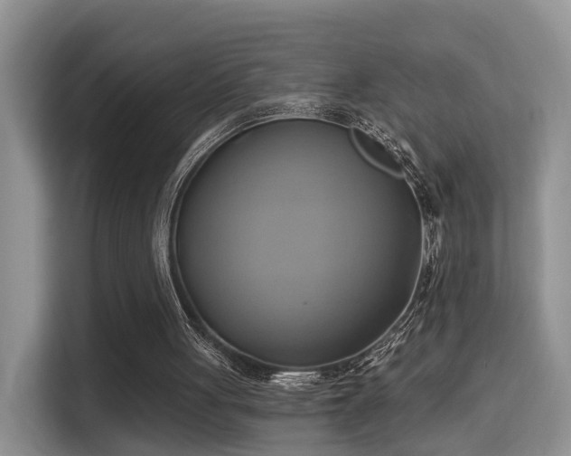 X0000115330051200911091253