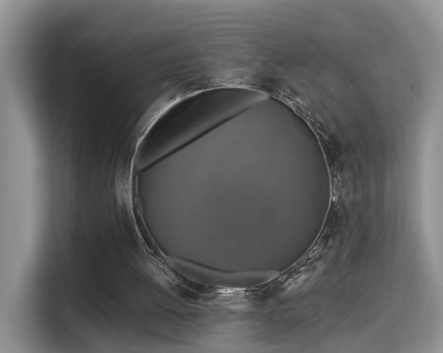 X0000115330052200911091253