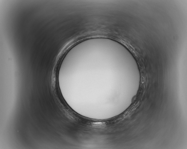 X0000115330053200911091253
