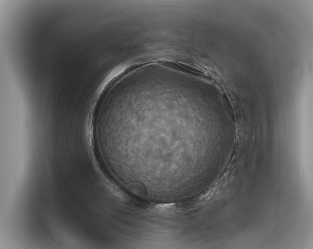 X0000115330054200911091253