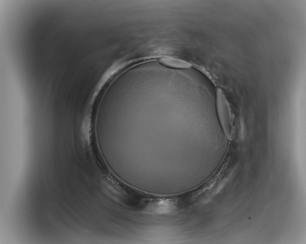 X0000115330056200911091253