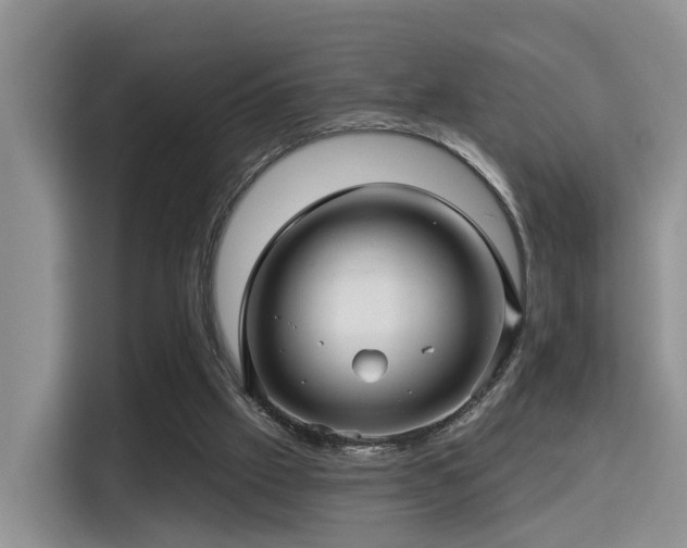 X0000115330057200911091253