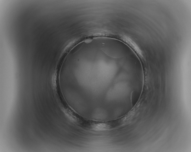 X0000115330058200911091253