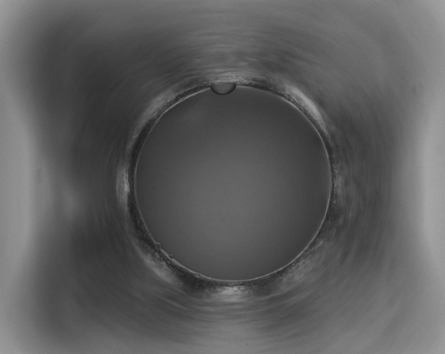 X0000115330059200911091253