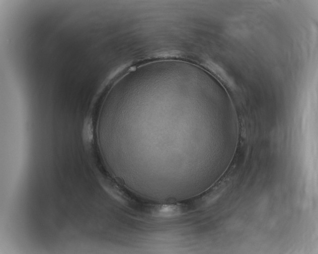 X0000115330060200911091253