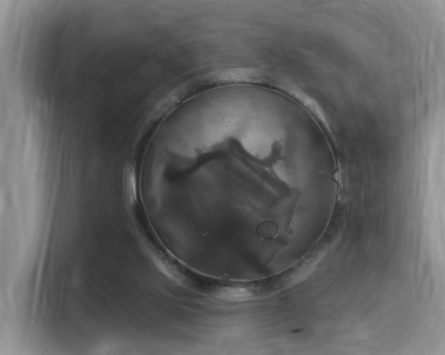 X0000115330061200911091253