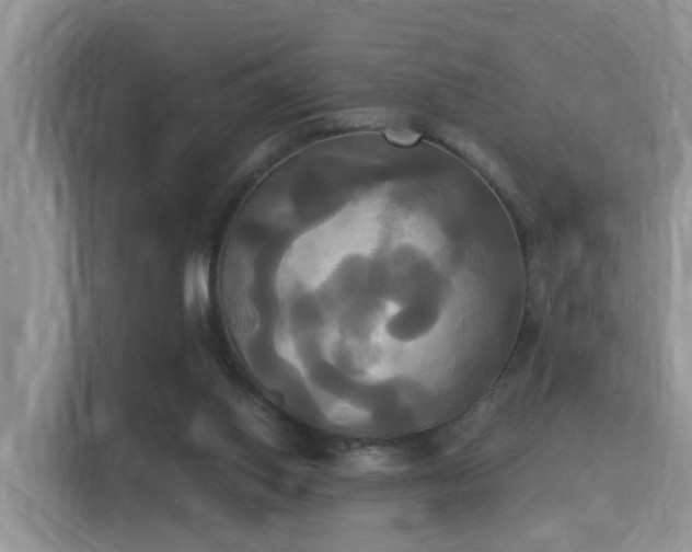 X0000115330062200911091253