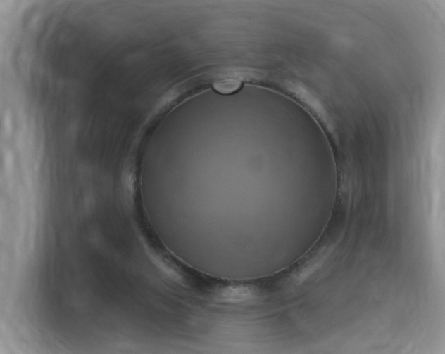X0000115330063200911091253