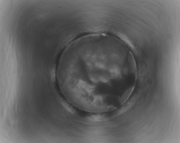 X0000115330065200911091253