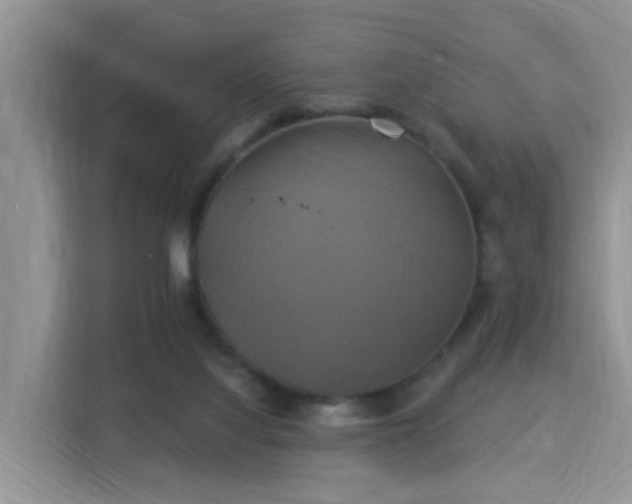 X0000115330068200911091253