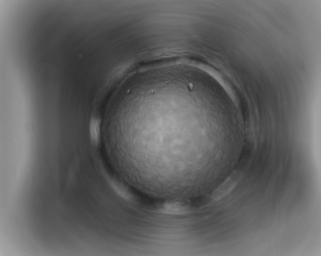 X0000115330070200911091253