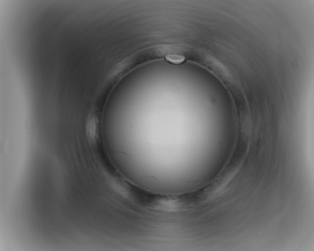X0000115330071200911091253