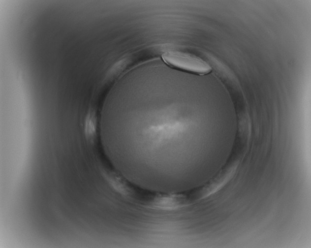 X0000115330072200911091253