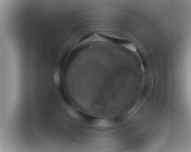 X0000115330074200911091253
