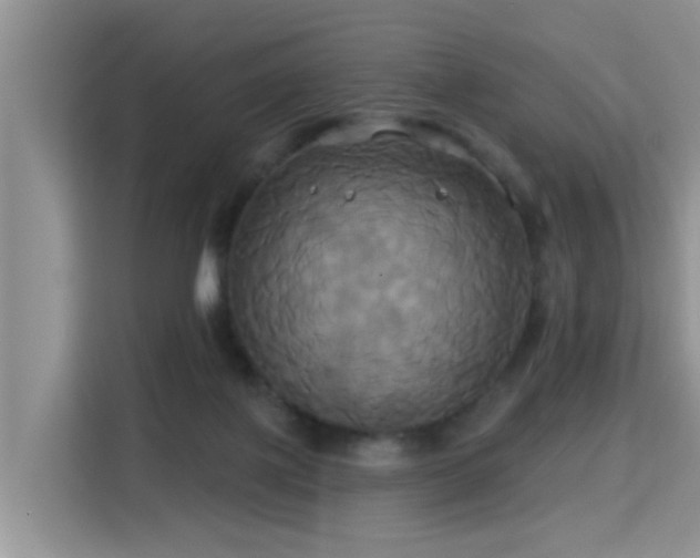 X0000115330075200911091253