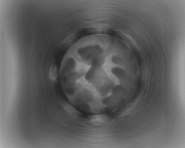 X0000115330077200911091253
