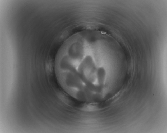 X0000115330078200911091253