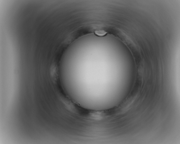 X0000115330079200911091253