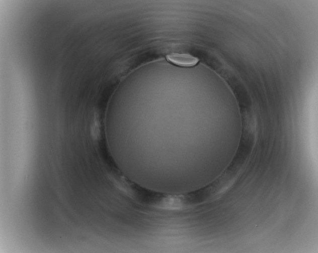X0000115330080200911091253