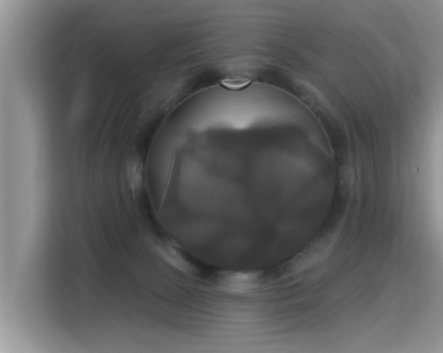 X0000115330081200911091253