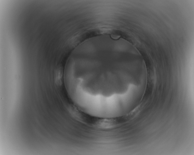 X0000115330082200911091253