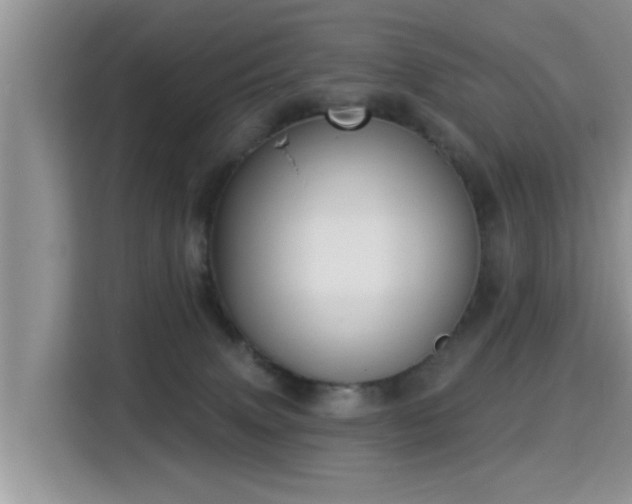 X0000115330083200911091253