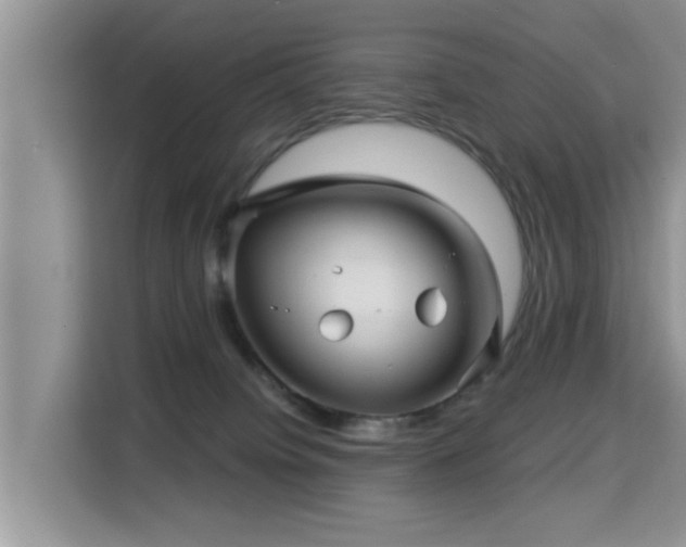 X0000115330084200911091253