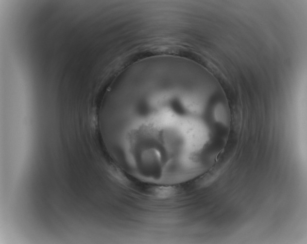 X0000115330085200911091253