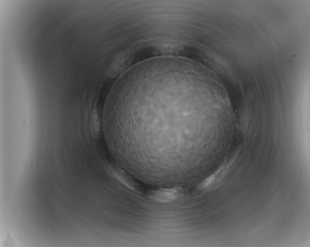 X0000115330086200911091254