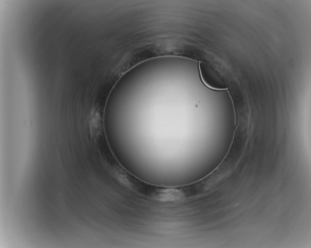 X0000115330087200911091254