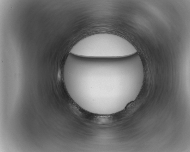 X0000115330089200911091254