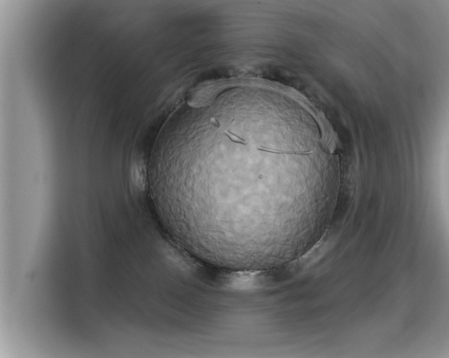 X0000115330090200911091254