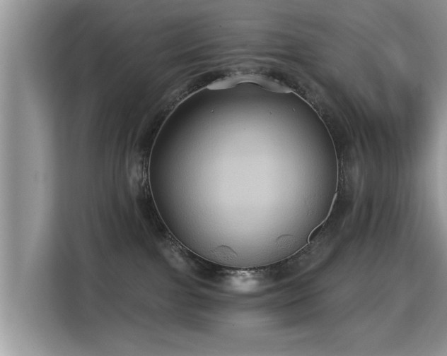 X0000115330091200911091254