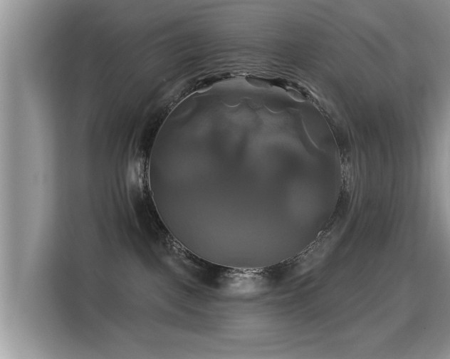 X0000115330093200911091254