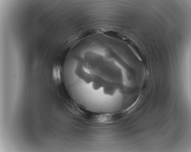 X0000115330094200911091254