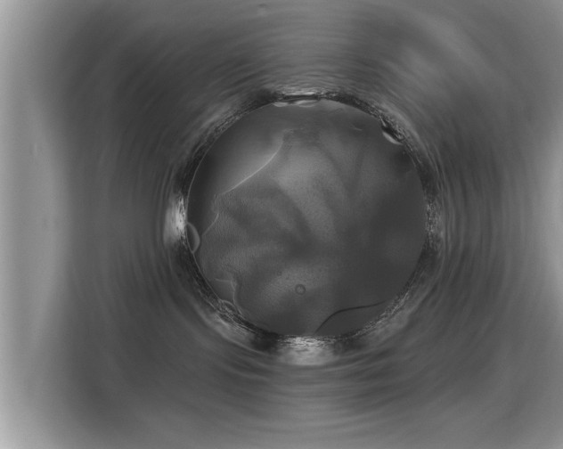 X0000115330095200911091254