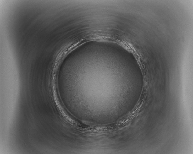 X0000115330097200911091253