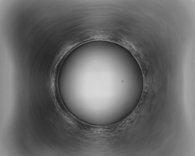 X0000115330098200911091253