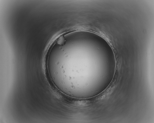 X0000115330103200911091253