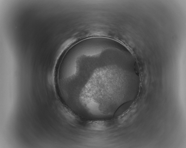 X0000115330104200911091253