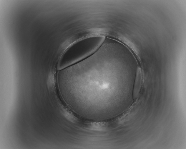 X0000115330105200911091253