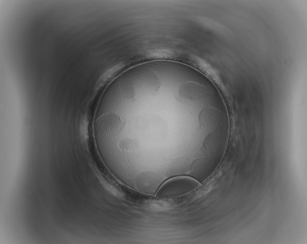 X0000115330106200911091253
