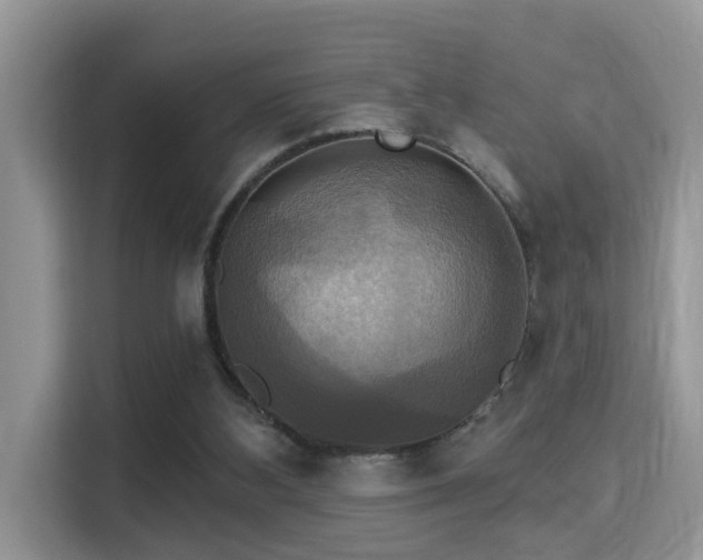 X0000115330108200911091253