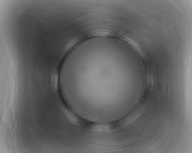X0000115330110200911091253