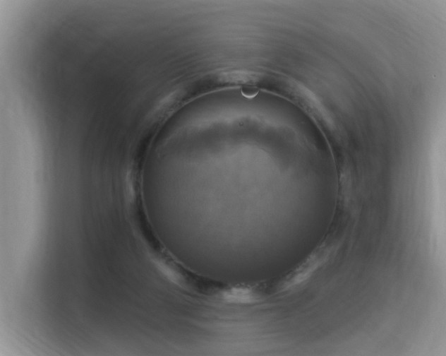 X0000115330114200911091253
