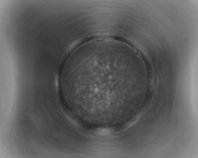 X0000115330115200911091253