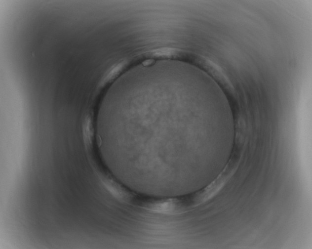 X0000115330116200911091253