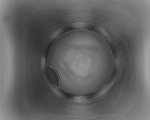 X0000115330117200911091253