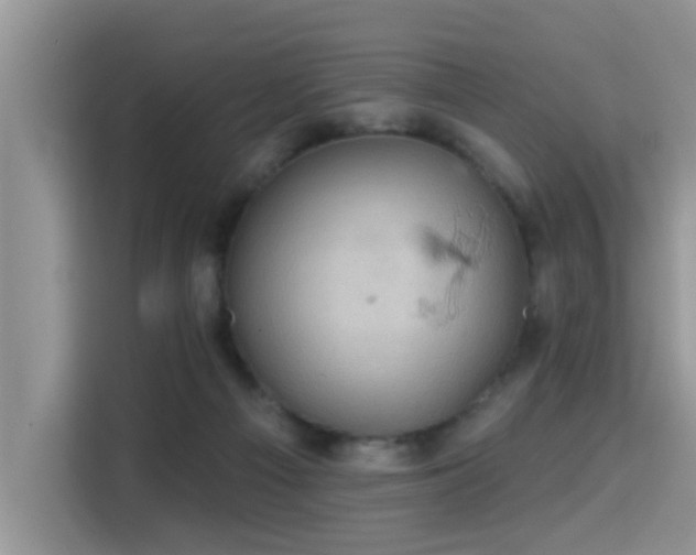 X0000115330121200911091253