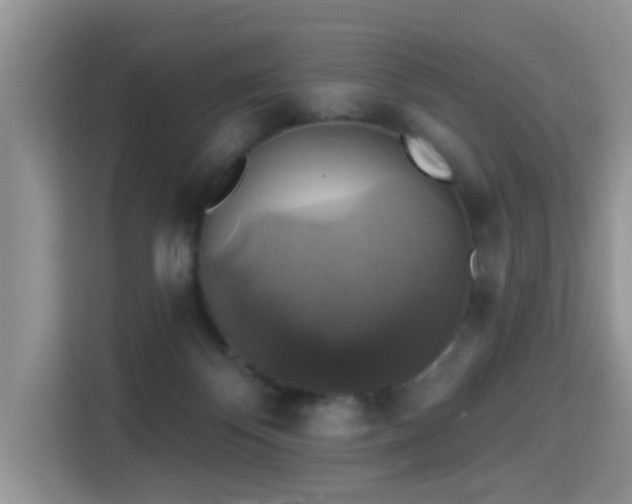 X0000115330124200911091253